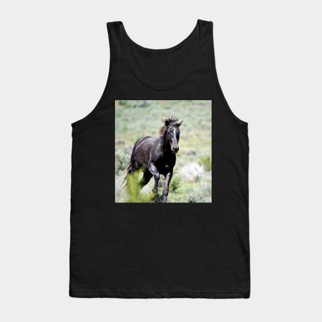 Racing Black Stallion Wild Mustang Photo Tank Top by DeniseBruchmanPhotography